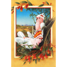 Load image into Gallery viewer, Diamond Painting - Full Round - Frame painting of rouge parrot (40*60CM)