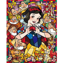 Load image into Gallery viewer, Diamond Painting - Full Round - snow White (40*50CM)