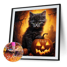 Load image into Gallery viewer, Diamond Painting - Full Round - halloween pumpkin black cat (40*40CM)