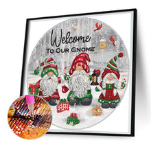 Load image into Gallery viewer, Diamond Painting - Partial Special Shaped - Grandpa Goblin (30*30CM)