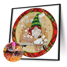 Load image into Gallery viewer, Diamond Painting - Partial Special Shaped - Grandpa Goblin (30*30CM)