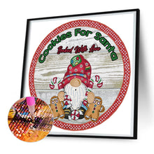 Load image into Gallery viewer, Diamond Painting - Partial Special Shaped - Grandpa Goblin (30*30CM)