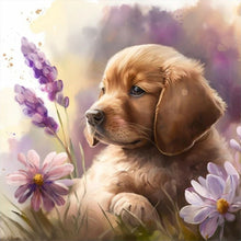 Load image into Gallery viewer, Diamond Painting - Full Round - golden retriever puppy (30*30CM)