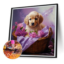 Load image into Gallery viewer, Diamond Painting - Full Round - golden retriever puppy (30*30CM)