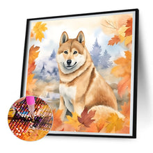 Load image into Gallery viewer, Diamond Painting - Full Round - maple leaf puppy (30*30CM)