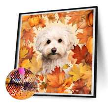 Load image into Gallery viewer, Diamond Painting - Full Round - maple leaf puppy (30*30CM)