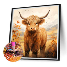 Load image into Gallery viewer, Diamond Painting - Full Round - highland yak (30*30CM)