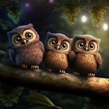 Load image into Gallery viewer, Diamond Painting - Full Round - owl (30*30CM)