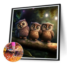 Load image into Gallery viewer, Diamond Painting - Full Round - owl (30*30CM)