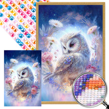 Load image into Gallery viewer, AB Diamond Painting - Full Round - owl (40*60CM)