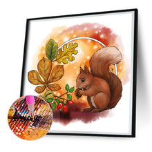 Load image into Gallery viewer, Diamond Painting - Full Round - squirrel (30*30CM)