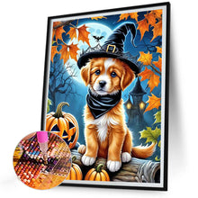 Load image into Gallery viewer, Diamond Painting - Full Round - halloween cats and dogs (30*40CM)
