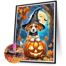 Load image into Gallery viewer, Diamond Painting - Full Round - halloween cats and dogs (30*40CM)