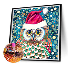 Load image into Gallery viewer, Diamond Painting - Full Round - Christmas Owl (30*30CM)