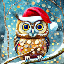 Load image into Gallery viewer, Diamond Painting - Full Round - Christmas Owl (30*30CM)