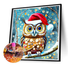 Load image into Gallery viewer, Diamond Painting - Full Round - Christmas Owl (30*30CM)