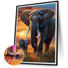 Load image into Gallery viewer, Diamond Painting - Full Round - elephant (30*40CM)
