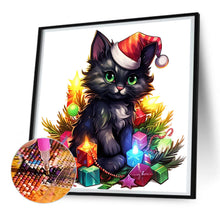 Load image into Gallery viewer, Diamond Painting - Full Round - Lantern black cat (30*30CM)