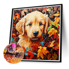 Load image into Gallery viewer, Diamond Painting - Full Round - maple leaf dog (40*40CM)