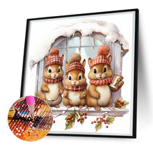 Load image into Gallery viewer, Diamond Painting - Full Round - window animal squirrel (30*30CM)