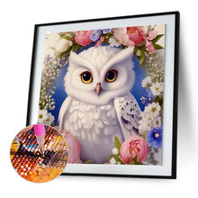 Load image into Gallery viewer, Diamond Painting - Full Round - Owl and flower (30*30CM)