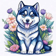 Load image into Gallery viewer, Diamond Painting - Full Round - cute husky (30*30CM)