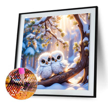Load image into Gallery viewer, Diamond Painting - Full Round - two owls (30*30CM)