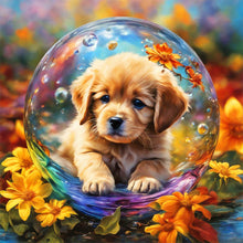 Load image into Gallery viewer, Diamond Painting - Full Round - Bubble ball dog (30*30CM)