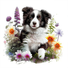 Load image into Gallery viewer, Diamond Painting - Full Round - Border Collie in the Grass (30*30CM)