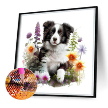 Load image into Gallery viewer, Diamond Painting - Full Round - Border Collie in the Grass (30*30CM)