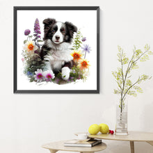 Load image into Gallery viewer, Diamond Painting - Full Round - Border Collie in the Grass (30*30CM)