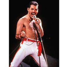 Load image into Gallery viewer, Diamond Painting - Full Round - singer (30*40CM)