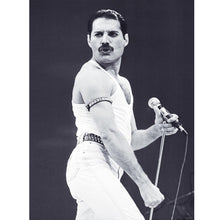 Load image into Gallery viewer, Diamond Painting - Full Round - singer (30*40CM)