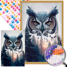 Load image into Gallery viewer, AB Diamond Painting - Full Round - owl (40*60CM)