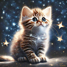 Load image into Gallery viewer, Diamond Painting - Full Square - starlight cat (30*30CM)