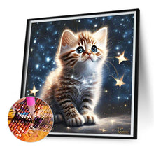 Load image into Gallery viewer, Diamond Painting - Full Square - starlight cat (30*30CM)