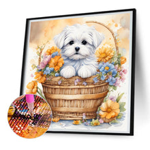 Load image into Gallery viewer, Diamond Painting - Full Round - dog in basket (30*30CM)