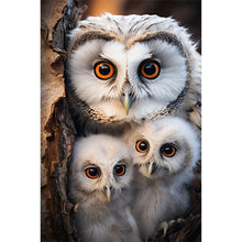 Load image into Gallery viewer, Diamond Painting - Full Round - Mother owl and baby owl (30*45CM)