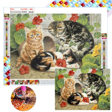 Load image into Gallery viewer, Diamond Painting - Full Square - three cats (40*30CM)