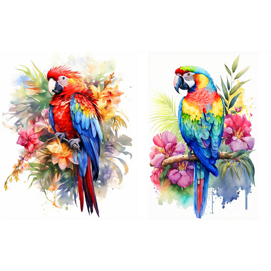 2pcs Diamond Painting Set - macaw (40*50cm)