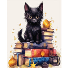Load image into Gallery viewer, Diamond Painting - Full Round - black cat on book (40*50CM)