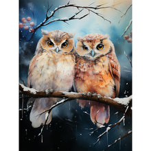 Load image into Gallery viewer, Diamond Painting - Full Round - forest owl (30*40CM)