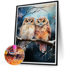 Load image into Gallery viewer, Diamond Painting - Full Round - forest owl (30*40CM)