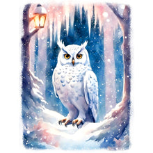 Load image into Gallery viewer, Diamond Painting - Full Round - owl (30*40CM)