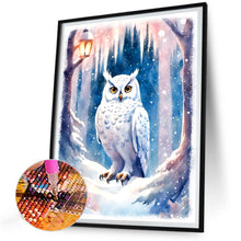 Load image into Gallery viewer, Diamond Painting - Full Round - owl (30*40CM)