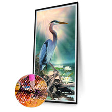 Load image into Gallery viewer, AB Diamond Painting - Full Square - Crane in the lake (40*85CM)