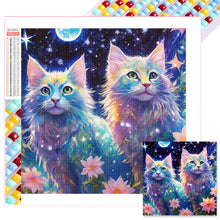 Load image into Gallery viewer, Diamond Painting - Full Square - cat cat (30*30CM)