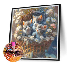 Load image into Gallery viewer, Diamond Painting - Full Round - Flowers and kittens (30*30CM)