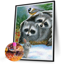 Load image into Gallery viewer, Diamond Painting - Full Square - Raccoon in snow scene (30*40CM)