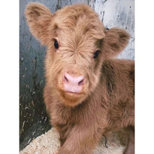 Load image into Gallery viewer, Diamond Painting - Full Round - Highland baby calf (30*40CM)